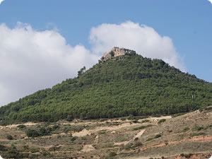 Castillo de Monjardín